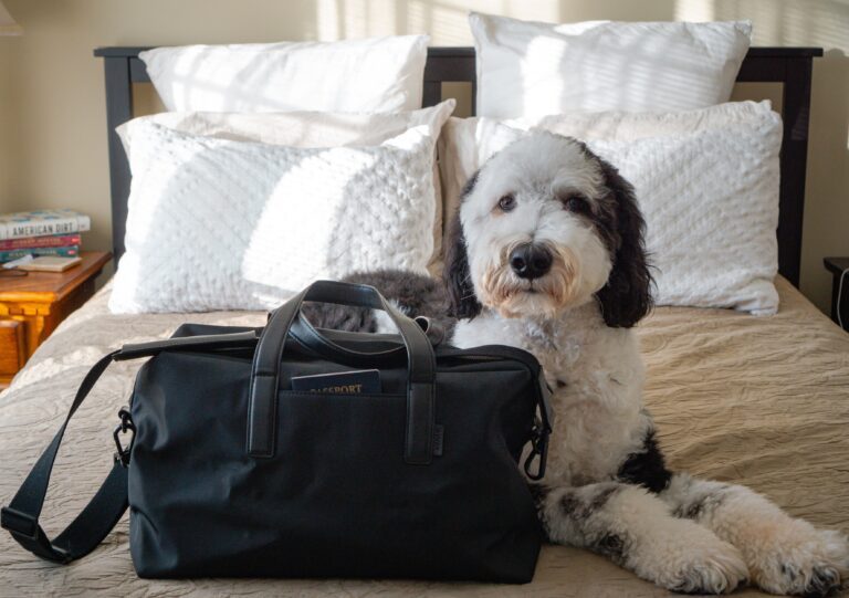 30 MustHave CarryOn Essentials for Long Flights Well Read Travels