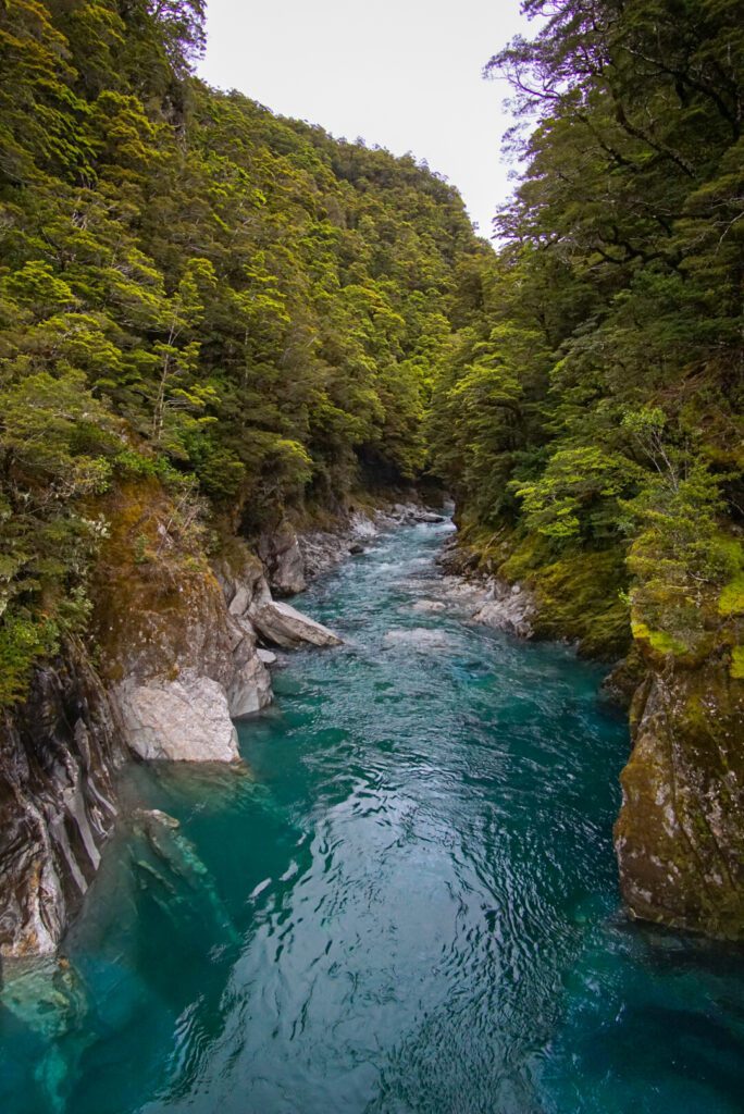 New Zealand South Island Itinerary Blue Pools (Haast Pass)