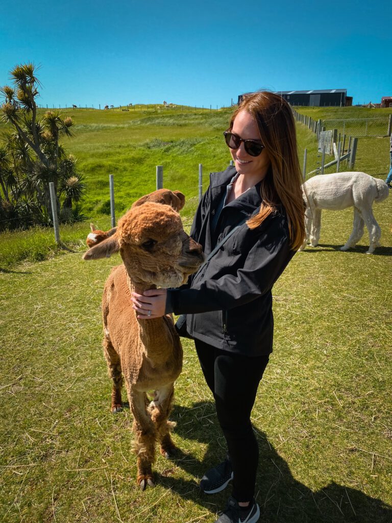 Shamarra Alpaca Farm