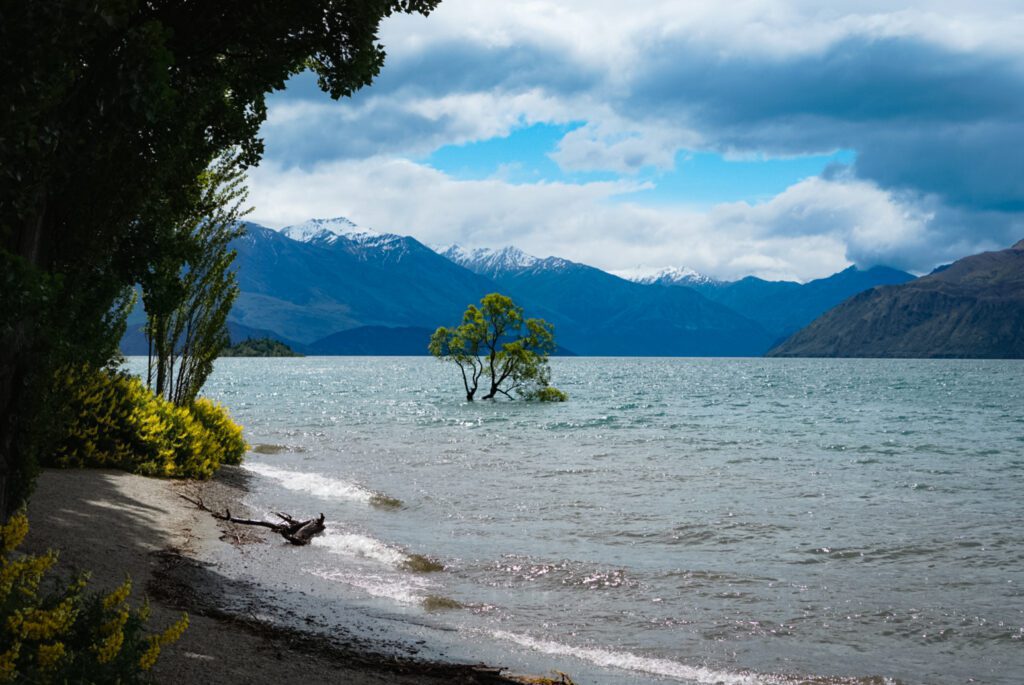 New Zealand South Island Itinerary That Wanaka Tree