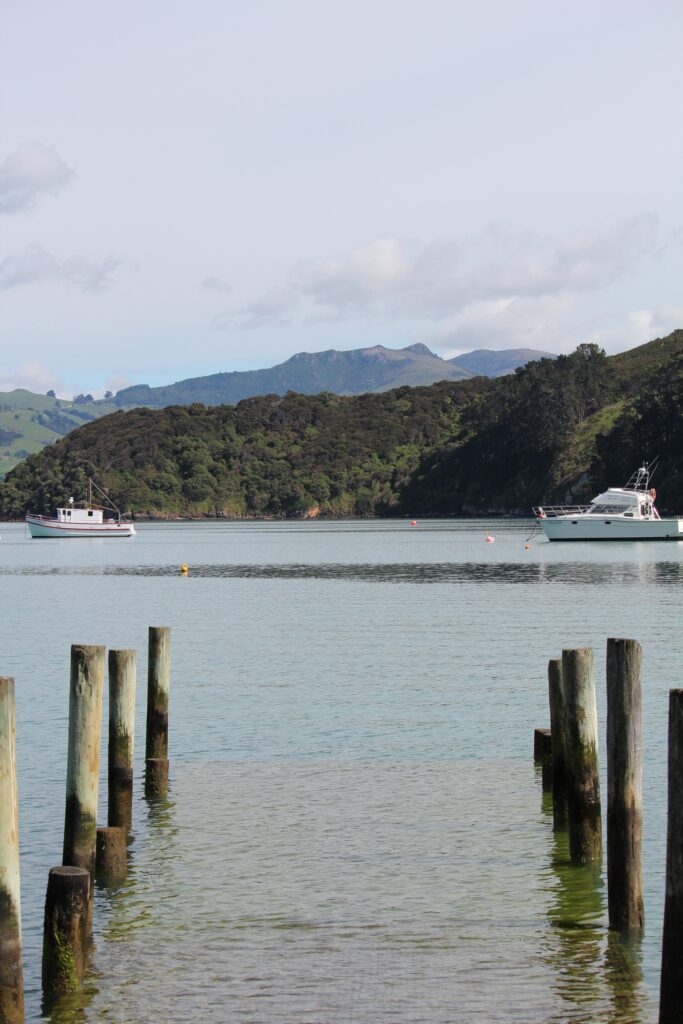 Akaroa