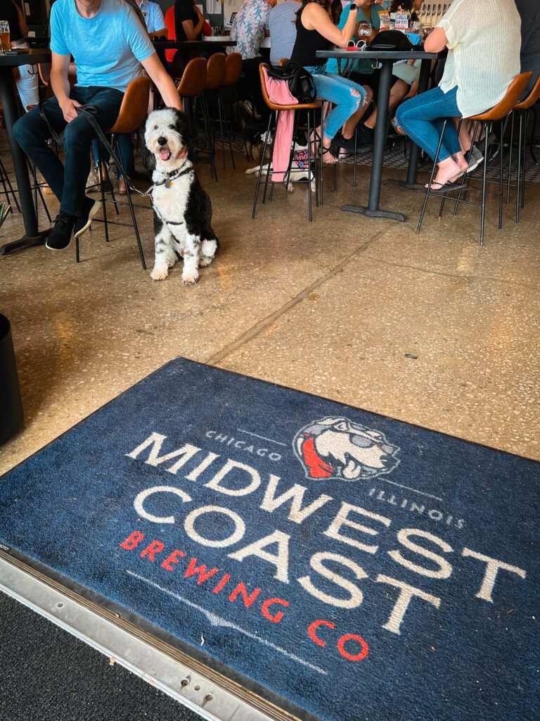 Midwest Coast dog-friendly breweries Chicago
