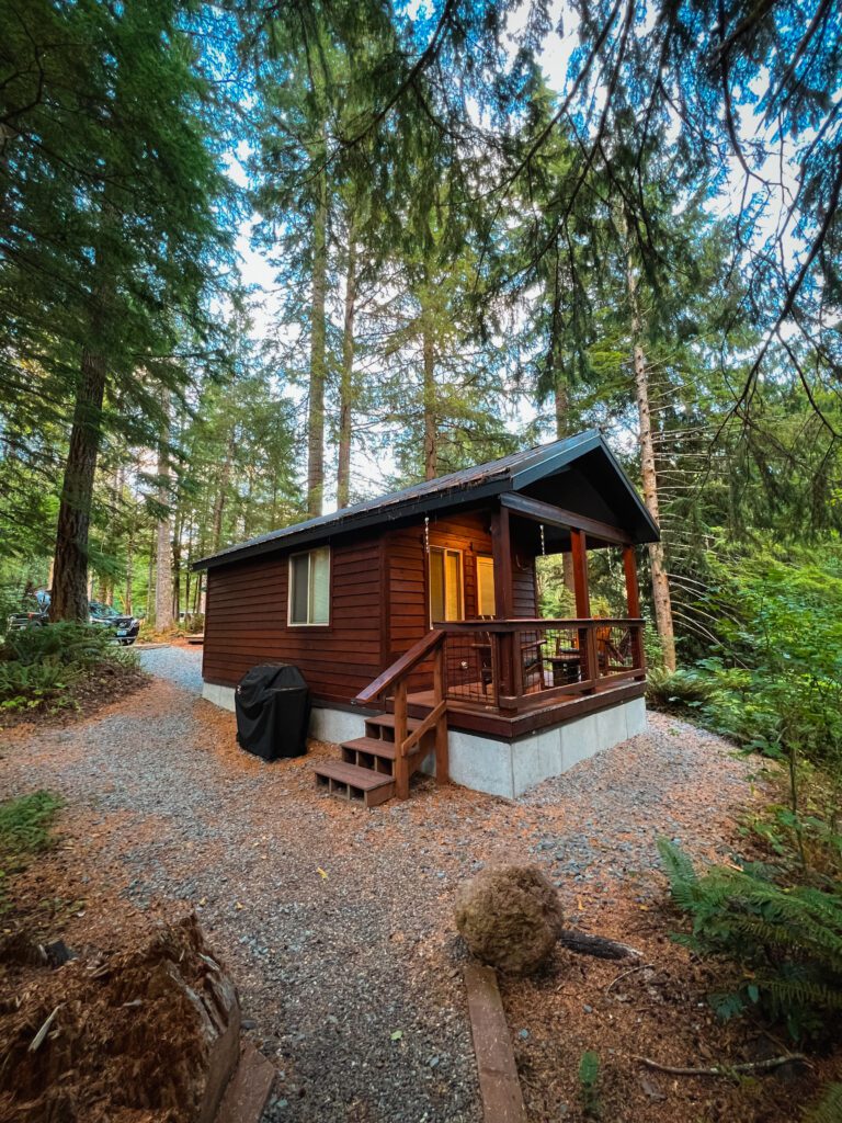 Mount Rainier National Park Guide Betsys Cabins