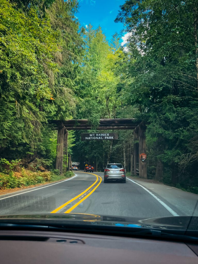 Mount Rainier National Park Guide