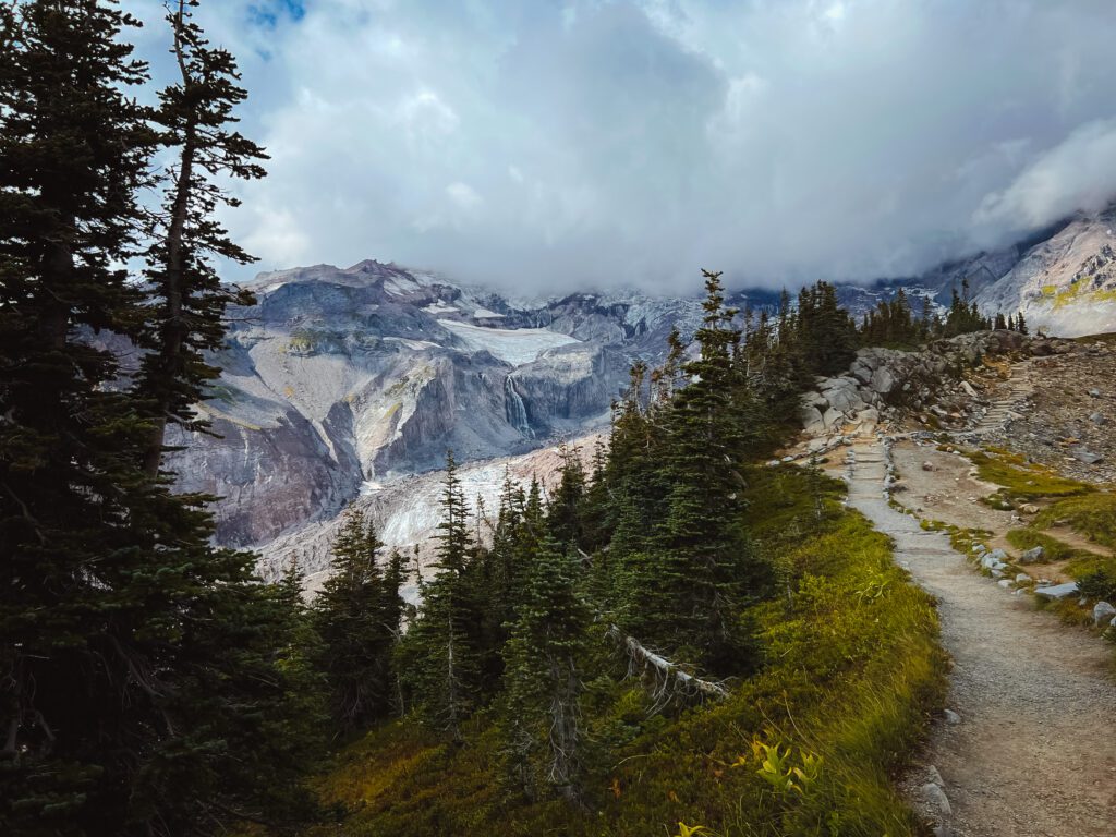 Mount Rainier National Park Guide Skyline Loop