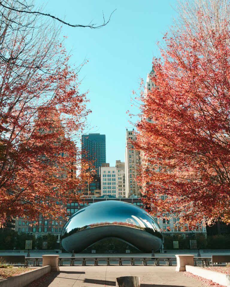 The Best Time to Visit Chicago - A Local’s Seasonal Guide - Well Read ...