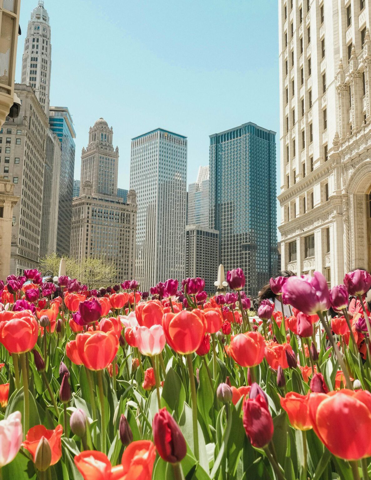 The Best Time to Visit Chicago - A Local’s Seasonal Guide - Well Read ...