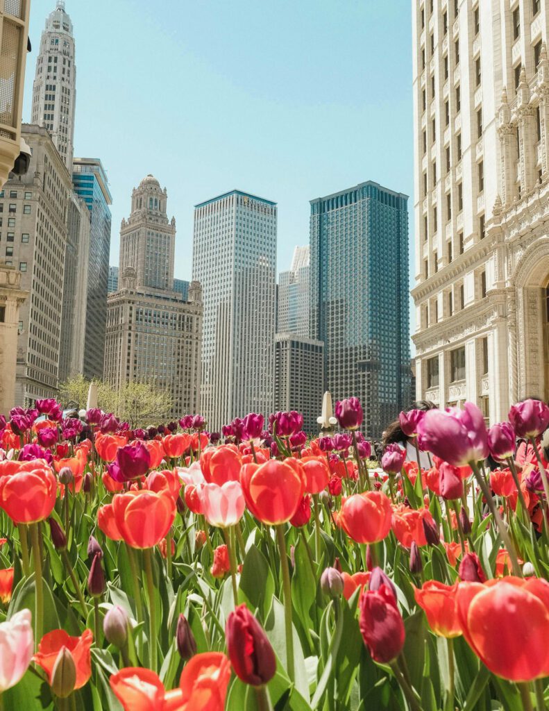 best time to visit Chicago